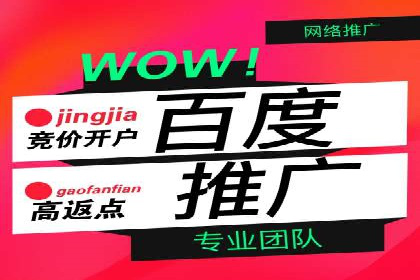 sem代运营机构经典案例：提升广告投放效果